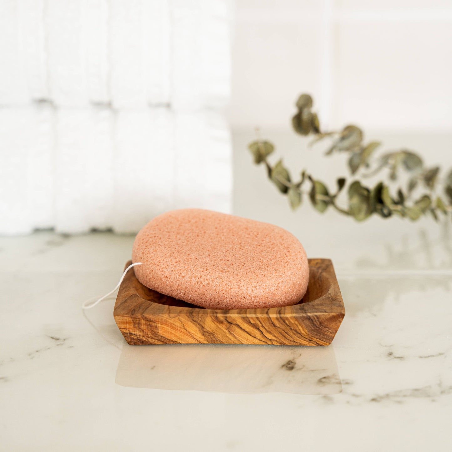 Compostable Konjac Sponge