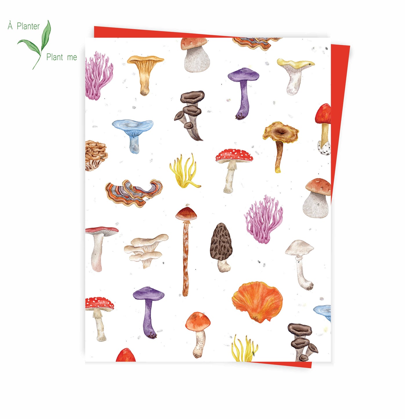 Plantable Cards by Hobeika Art