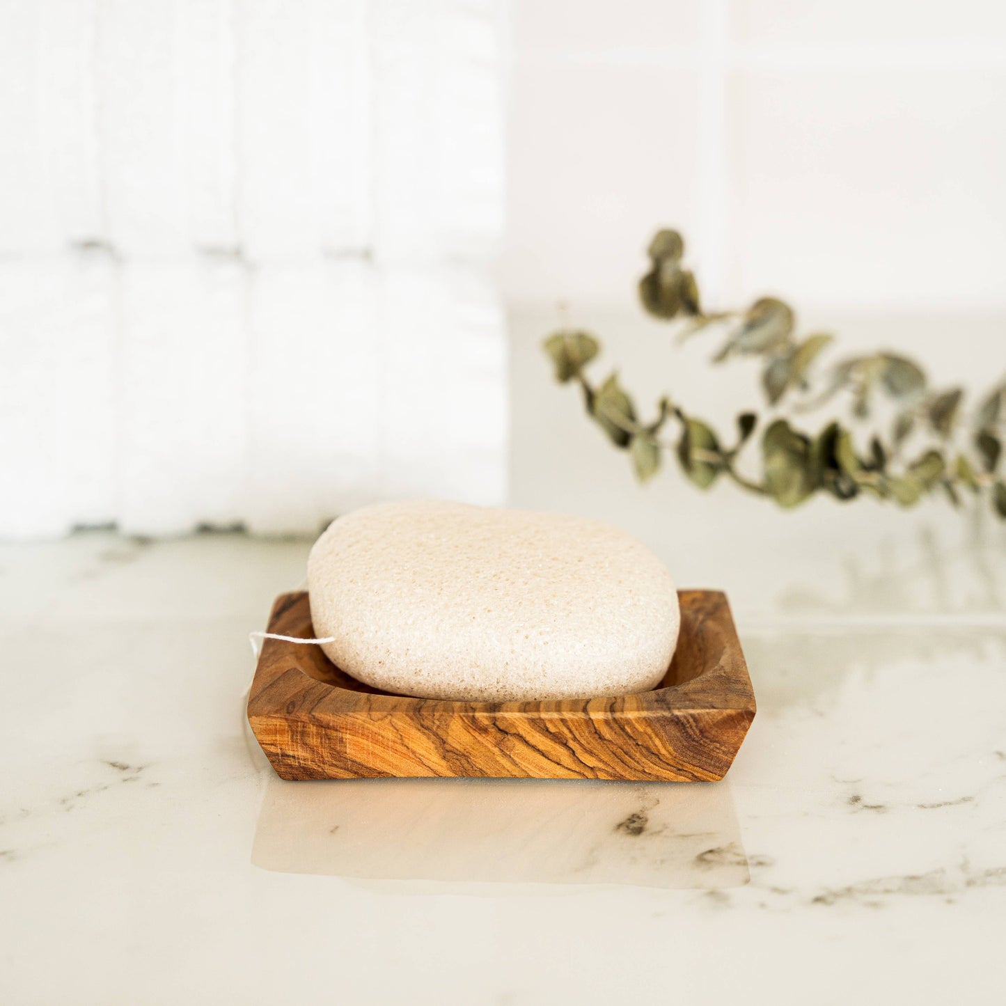 Compostable Konjac Sponge
