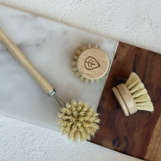 Dish Brush with replaceable head