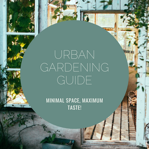 A beginner’s guide to Urban Gardening