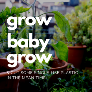 Three easy things to grow this season that cut down on plastic waste