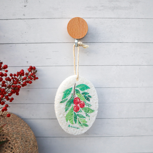 Cellulose Pop Up Sponges (Holiday Exclusive)