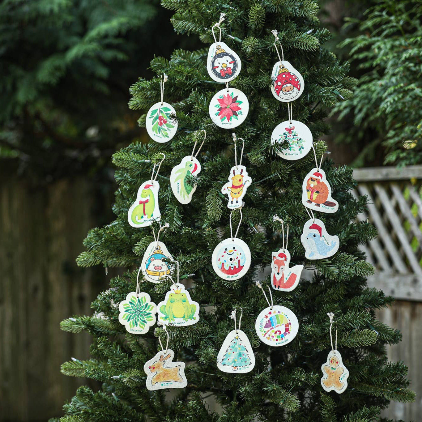 Cellulose Pop Up Sponges (Holiday Exclusive)