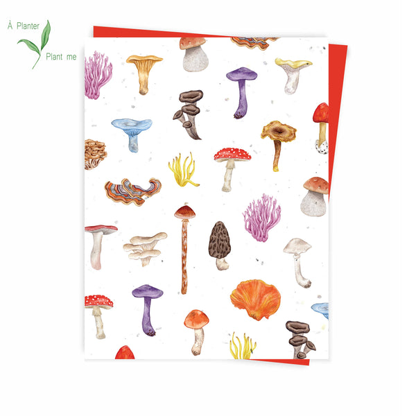 Plantable Cards by Hobeika Art
