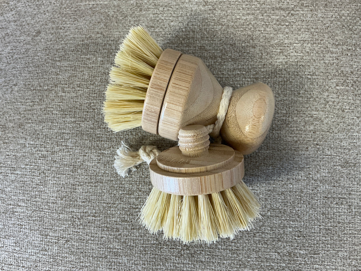 Dish Brush with Screw on Brush