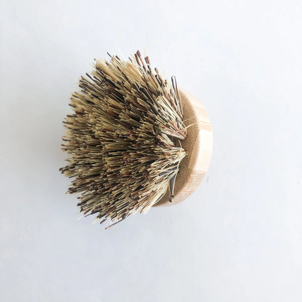 Firm Bristle Pot & Dish Brush With Replaceable Head