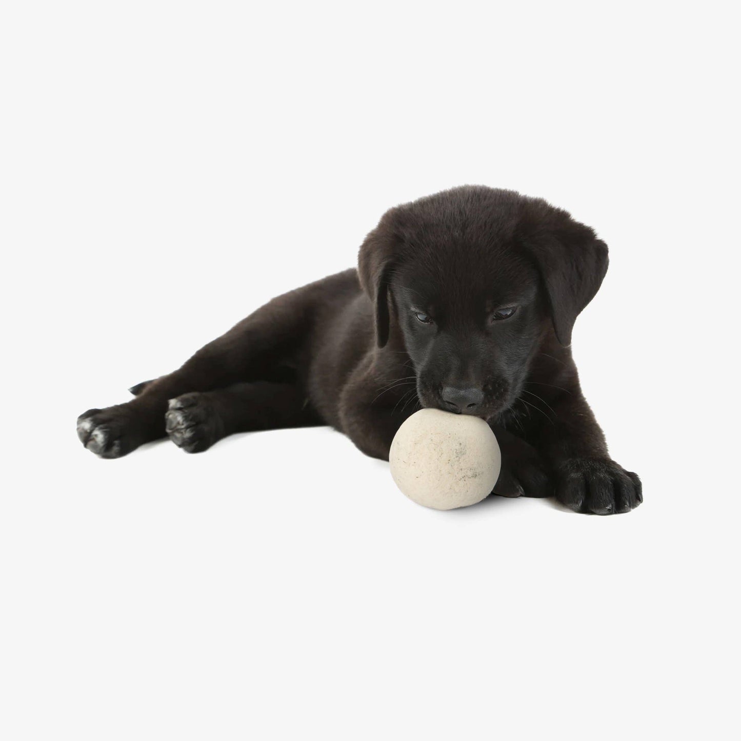 "Woolf" Wool Ball for Dogs | Set of 2 | Natural Fetch Toy