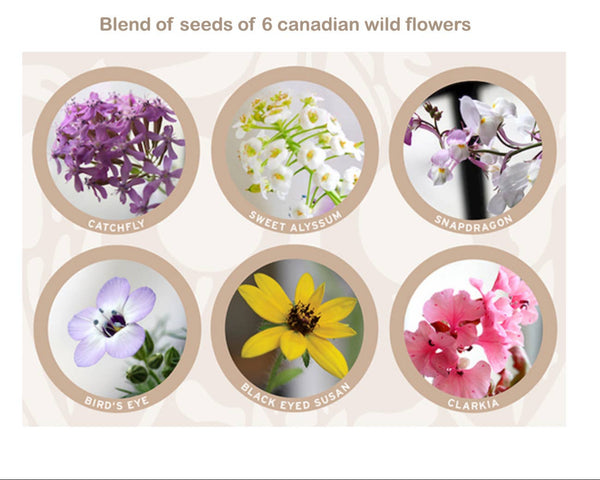 Plantable Cards by Hobeika Art