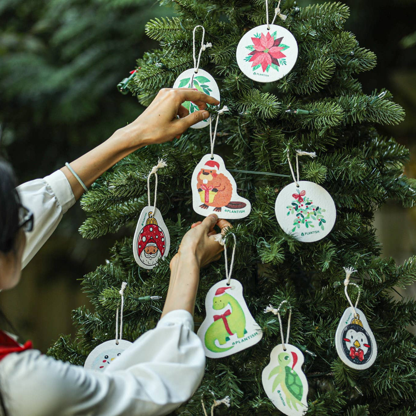 Cellulose Pop Up Sponges (Holiday Exclusive)